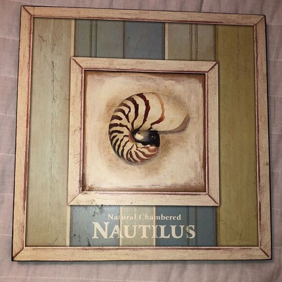 Vintage Style Sea World Shell Collection Wall Art - Picture 2 of 11